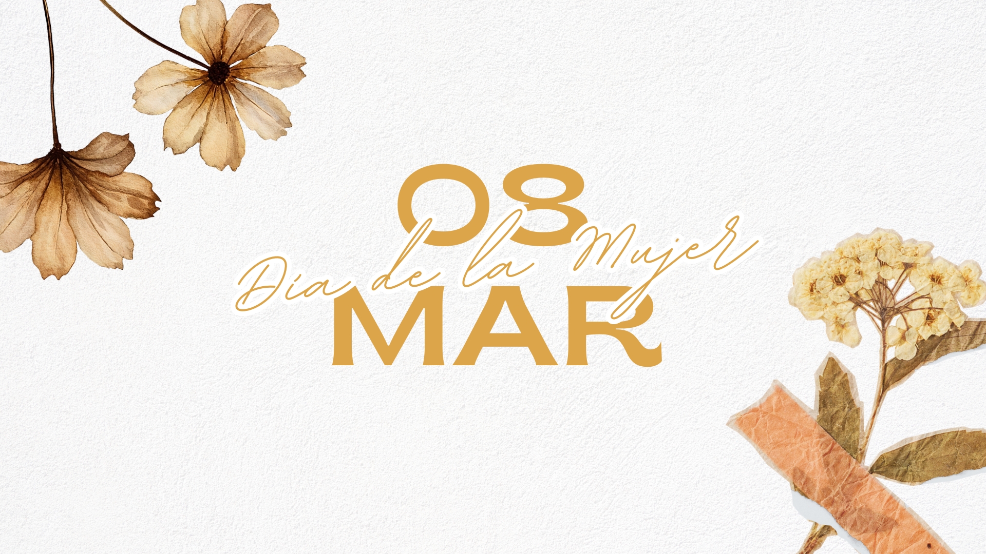 spa en Envigado día de la mujer experiencia de bienestar